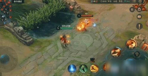 曙光英雄羲和嘲讽动作,【羲和嘲讽动作为何受热捧?自媒体揭秘背后魅力!】