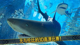 鲨鱼游戏:深海冒险,挑战未知的刺激与惊喜!