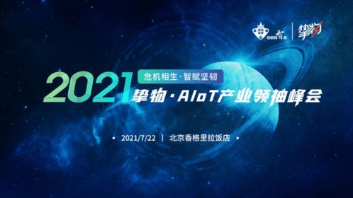 95795163背后的秘密:揭开数字背后的故事