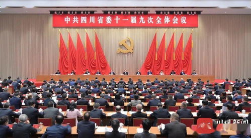 建议:碧波龙:引领行业变革,共创数字未来