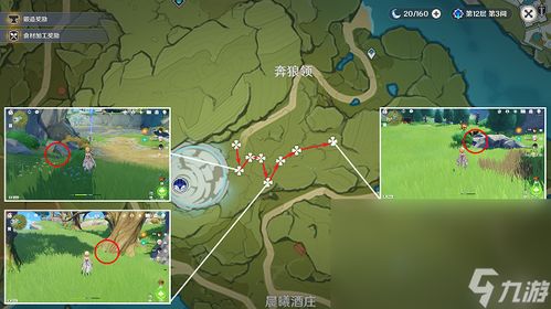 探秘钩钩果采集点:天然宝藏的秘密乐园