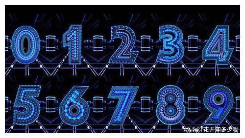 95795163背后的秘密:揭开数字背后的故事