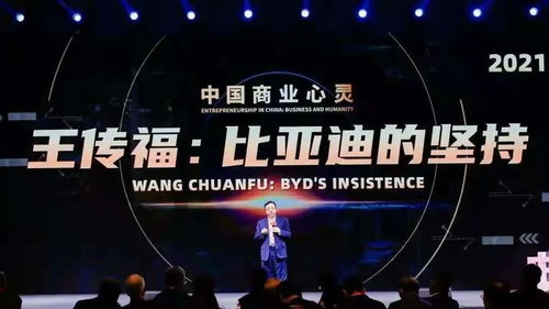 派拉斯:革命性的平台,打造未来商业新模式