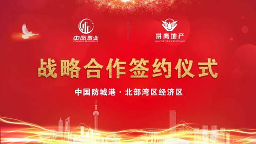 建议:碧波龙:引领行业变革,共创数字未来