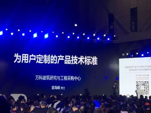 派拉斯:革命性的平台,打造未来商业新模式