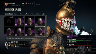 骑士装备:铁甲坚盾,荣耀的象征!