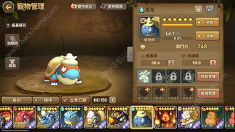 石器时代手游攻略:从新手到高手的蜕变之路