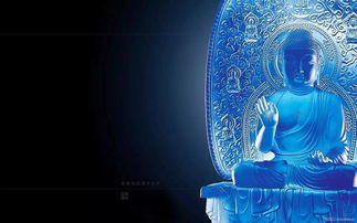 穿越时空的梦幻之旅,琉璃石幼龙带你探秘神秘龙族!