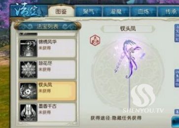 法宝属性大揭秘:让你轻松成为自媒体运营高手!