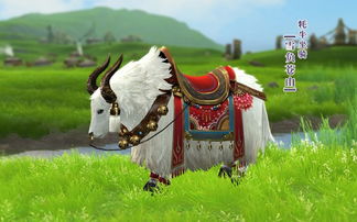 牦牛坐骑:穿越神秘高原的独特体验