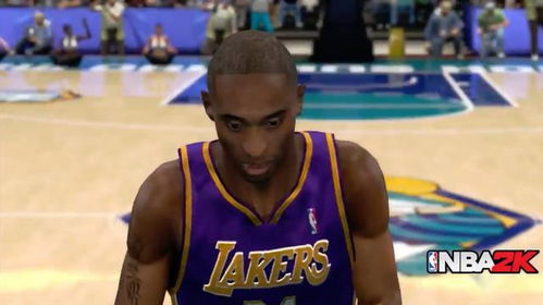 nba2k11最新名单,篮球巨星大揭秘ba2k11:重燃篮球激情,最新名单带你领略传奇风采!