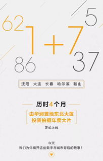 95795163背后的秘密:揭开数字背后的故事