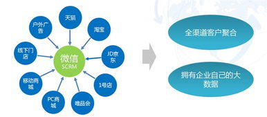 八本神阵揭秘:让你轻松成为自媒体运营高手!