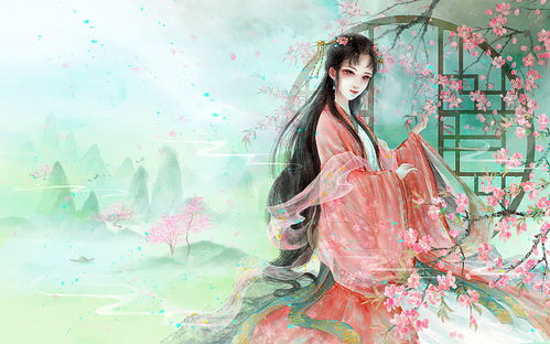 奇拉比:草原上的“闪电”传说,开启新时代音视频技术之门