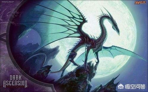 万智牌攻略从入门到精通:一篇文章让你成为牌桌霸主!