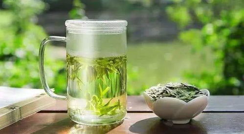 春季收集者:寻找大自然的美好瞬间