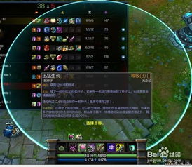 lol荆棘之兴,荆棘之兴:英雄联盟中的独特魅力,你了解多少?