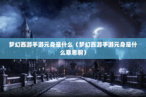 梦幻西游手游元身是什么（梦幻西游手游元身是什么意思啊）
