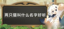 原神两只猫叫什么名字好听，原神似乎未持有足够的权能怎么办