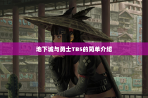 地下城与勇士TB5的简单介绍