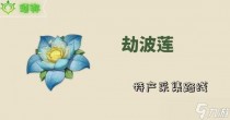 原神3.1版劫波莲采集指南,空之要塞启航s角色推荐