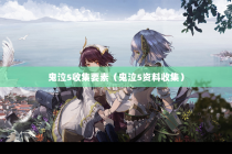鬼泣5收集要素（鬼泣5资料收集）