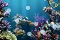 挑战类网络游戏排名前十位[无下载]消灭泡泡极限挑战遥遥领先