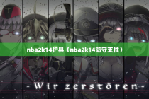 nba2k14护具（nba2k14防守支柱）