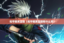 和平精英蓝图（和平精英蓝图有什么用）