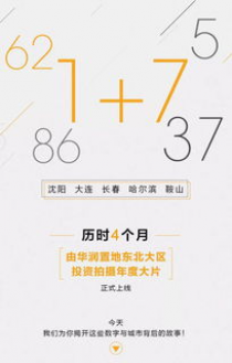 95795163背后的秘密：揭开数字背后的故事