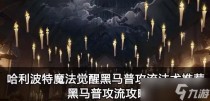 哈利波特魔法觉醒竞技场黑马普攻流该怎么玩，哈利波特魔法觉醒南瓜种植活动快速完成攻略