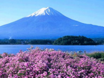 富士山召唤阵：探寻自然之魅与人文之美