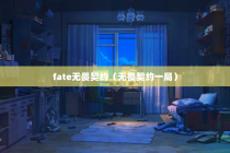 fate无畏契约（无畏契约一局）