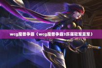 wcg魔兽争霸（wcg魔兽争霸3历届冠军亚军）