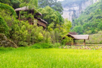 光遇静谧庭院在哪儿,光遇静谧庭院：寻找心中的世外桃源