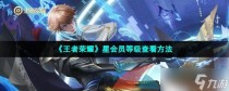 王者荣耀星会员等级查看方法,空之要塞启航角色培养介绍