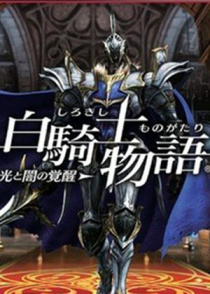 圣骑士觉醒：铁血与荣耀的交响曲