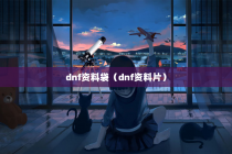 dnf资料袋（dnf资料片）