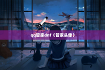 qq管家dnf（管家头像）