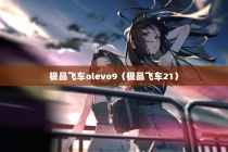 极品飞车olevo9（极品飞车21）