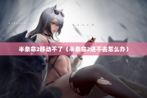 半条命2移动不了（半条命2进不去怎么办）