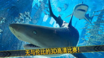 鲨鱼游戏：深海冒险，挑战未知的刺激与惊喜！