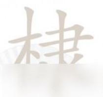 汉字找茬王棣找出16个字攻略,原神散兵立绘形象怎么样
