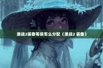 激战2装备等级怎么分配（激战2 装备）