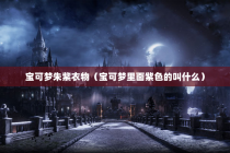 宝可梦朱紫衣物（宝可梦里面紫色的叫什么）